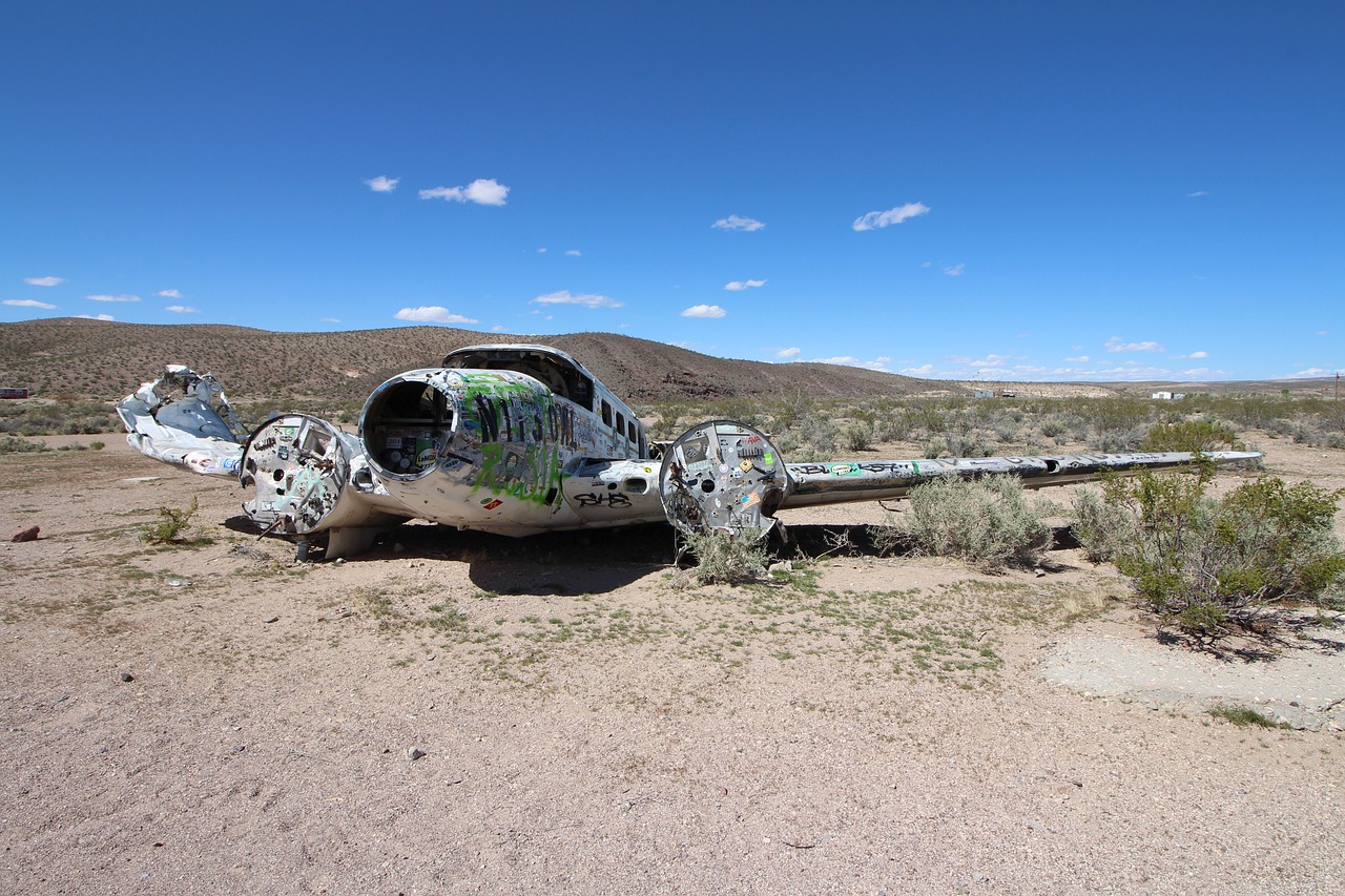 The Future of Artificial Intelligence in Disaster Response